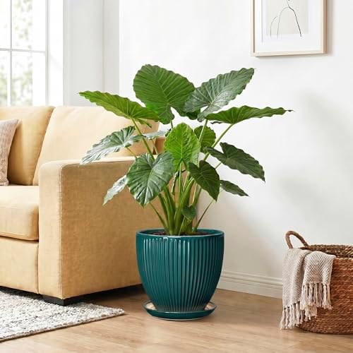 10 Inch Flower Pot, Round Ceramic Planters for Indoor Plants, Decorative Plant Pots with Drainage Hole and Saucer, Modern Large Planter, Office Decor, House Warming Gifts, Blackish Green - Image 4