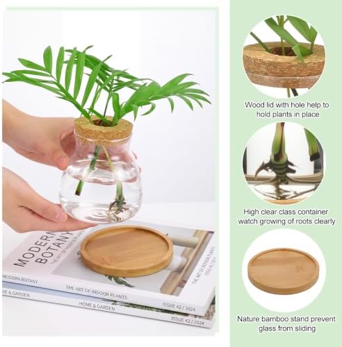 Honeydak 12 Pcs Plants Propagation Stations Desktop Glass Propagation Vases - Image 3