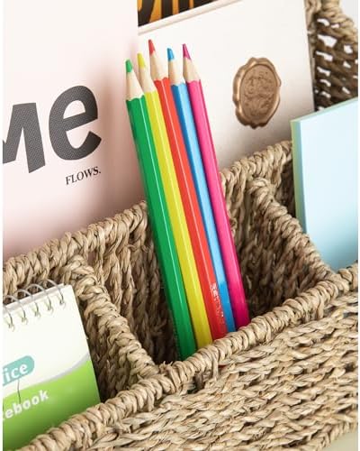 DINGTAI Mail Organizer Countertops, Desk Organizer Bills Organizer, Mail Sorters Organizers, Pencil Holder Magazine File Holder, Desk Organizer and Accessories(Seagrass) - Image 6