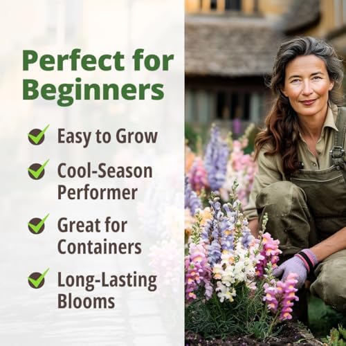 HOME GROWN Fairy Snapdragon 10,000 Flower Seeds Antirrhinum majus - Image 5