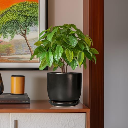 Ceramic Flower Pot 8 Inch - Modern Round Planter for Indoor Outdoor Plants with Drainage Hole and Saucer, Home House Room Office Patio Decor, Black - Image 2