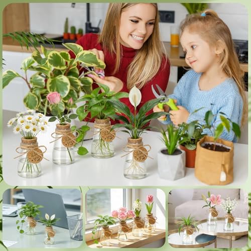 48PCS Plant Propagation Stations 3.35'' Plastic Propagation Jars Clear Vase - Image 5