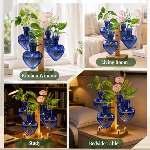 Plant Terrarium Propagation Station with 4 Heart Glass Vases - Deep Blue - Image 6