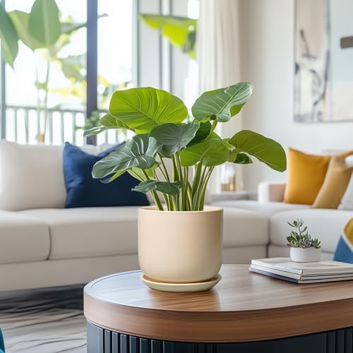 Ceramic Plant Pot - 7 Inch Mid Century Round Ceramic Planter for Indoor Plants with Drainage Hole and Saucer, Modern Home Decor, Yellow - Image 2