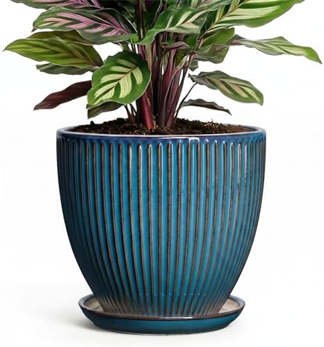 6 Inch Plant Pot, Ceramic Flower Pots for Indoor Plants, Round Planters with Drainage Hole and Saucer, Decorative Small Modern Flower Pots, Home Room Decor, House Warming Gifts, Retro Blue by Unknown