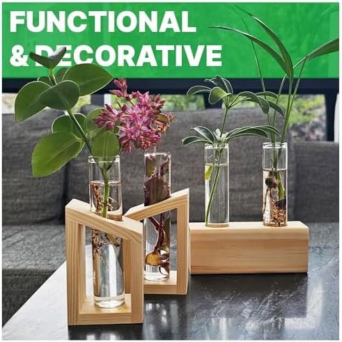 Plant Propagation Station - 3-Piece Wooden Stand with 4 Glass Test Tubes, Terrarium Vases for Plants, Hydroponic Propagation Planter for Home office Decor, Plant Lover Gift. - Image 4