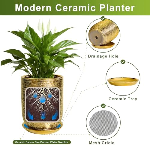 Ceramic Pots for Plants 12 Inch - Ceramic Planter for Indoor Outdoor Flowers, Cylinder Modern Flower Pot with Drainage Hole and Saucer, Patio Home Decor, Gifts for Plants Lovers, Gold - Image 6