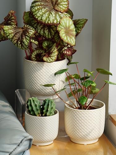4 + 5 + 6 Inch Ceramic Pots for Indoor Plants, Succulents Plant Pots, Orchid Flower Pot with Drainage Hole, Modern Clay Stoneware Planters, Set of 3 (Milk White, 4+5+6 Inch) - Image 7