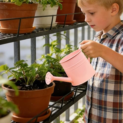Small Watering Can, 1L Metal Flower Garden Watering Can, Gardening Tool Accessories for Outdoor Indoor Plants Lawn (Pink) - Image 2