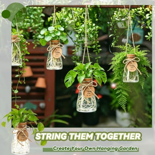 Ysglory 30 Pack Plant Propagation Stations 3.35" Plastic Vases - Image 5