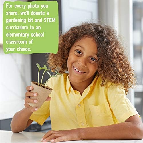 Back to the Roots Kids Science Grow Kit - 2 pk Bean and Watermelon - Image 5
