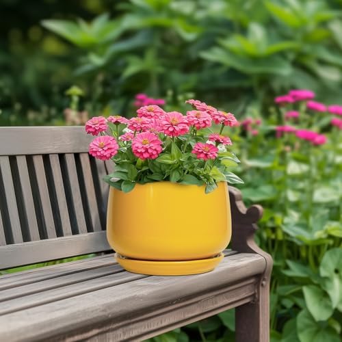 G EPGardening Ceramic Pots for Plants - 7 Inch Plant Pot with Drainage Hole and Saucer, Modern Ceramic Planter for Indoor Outdoor, Round Flower Planter, Gifts for Plants Lovers, Home Decor, Yellow - Image 4