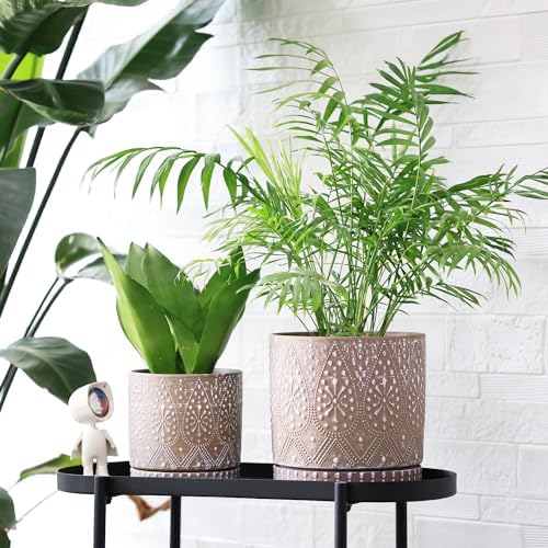 8 Inch + 6 Inch Plant Pot with Drainage Holes and Saucers, Indoor Ceramic Planter for Plants Succulent Orchid Flower Pots - Image 6