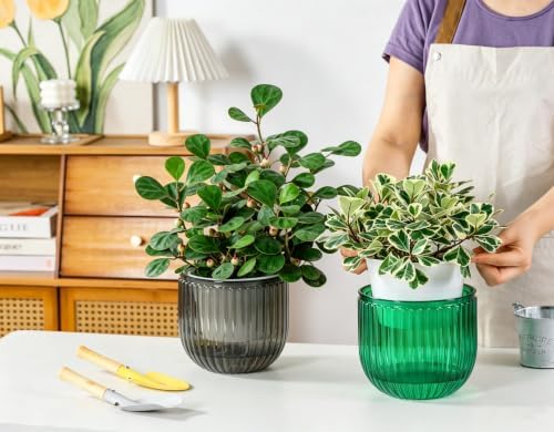 Melphoe 2 Pack Self Watering Hanging Planters Indoor Flower Pots, 6.5 Inch Outdoor Hanging Plant Basket, Hanger with 3Hooks Drainage Holes for Garden Home (Emerald + Gray) - Image 4