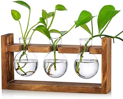 Kingbuy Glass Plant Terrarium with Retro Wood Stand, 3 Bulbs by Kingbuy