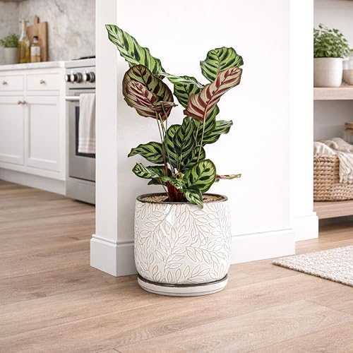 D'vine Dev Embossed Leaves Ceramic Planter, 8 in, Smoked White, 27-A-Q-1 - Image 5