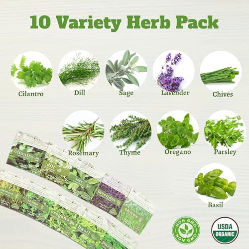 10 Indoor Herb Garden Kit- Burlap Pots, Organic Seeds, Herb Garden Planter Indoor Kit, Easy Window & Kitchen Herbs Growing Kit, Cilantro, Basil, Sage, Oregano, Parsley, Dill, Chives etc. - Image 3