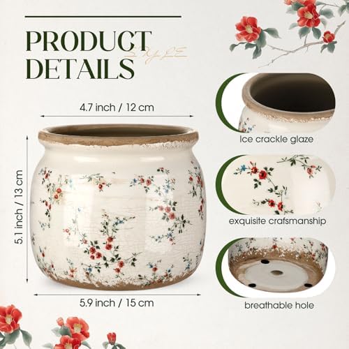 Vintage Planter Large Ceramic Plants Pot Beige Red Floral Pot - Image 2