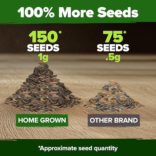 HOME GROWN Zinnia Seeds, Will Rogers, 150 Seeds, Zinnia elegans - Image 3
