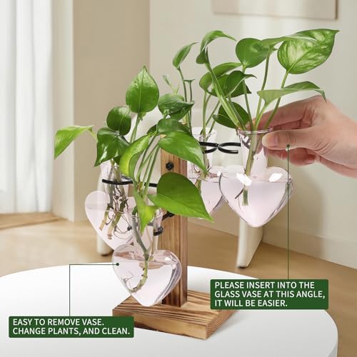 Plant Terrarium Propagation Stations with Wooden Stand - Image 3