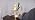 Stargazer Lily Crystal Table Lamp, Rechargeable Touch Flowers Lamp - Image 7