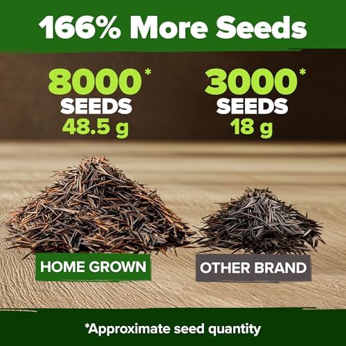 HOME GROWN Cosmos Flower Mix Seeds, 8,000+ Seeds, 1.8 oz - Image 3