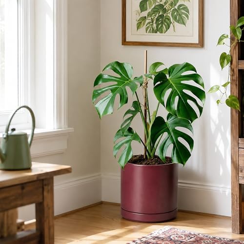 D'vine Dev 10 Inch Ceramic Planter Pot, Cordovan, 94-O-E-4 - Image 2