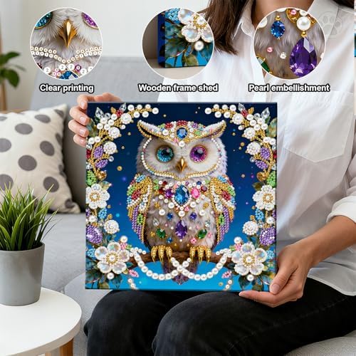 LQCrafK DIY 3D Pearl Art Painting Handcraft Kit for Adults Beginners, Home Wall Decoration, Creative Design Framed Painting with Tools-Owl - Image 4