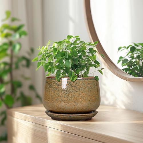 G EPGardening 7 Inch Ceramic Pots for Plants - Ceramic Planters for Indoor Outdoor Plants, Round Plant Pots with Drainage and Saucer, Modern Planter, House Decor, Plant Lover Gifts, Speckled Brown - Image 6