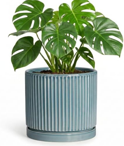8 Inch Planter, Ceramic Pots for Plants with Saucer, Glaze Blue by Unknown