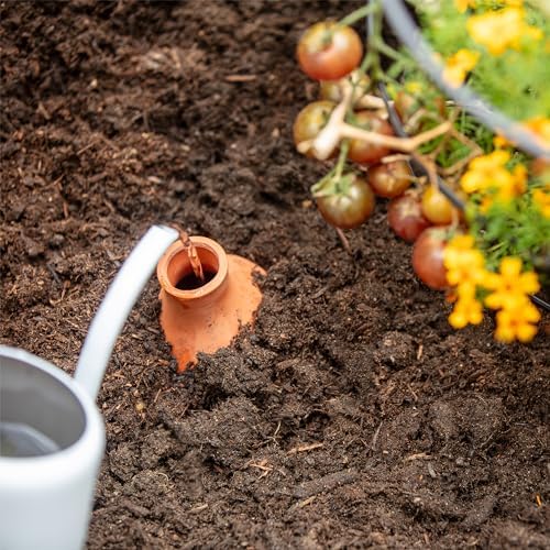 Back to the Roots Self-Watering Terracotta Olla Pot, 700mL Provides 1 Week of Precision Watering - Image 4