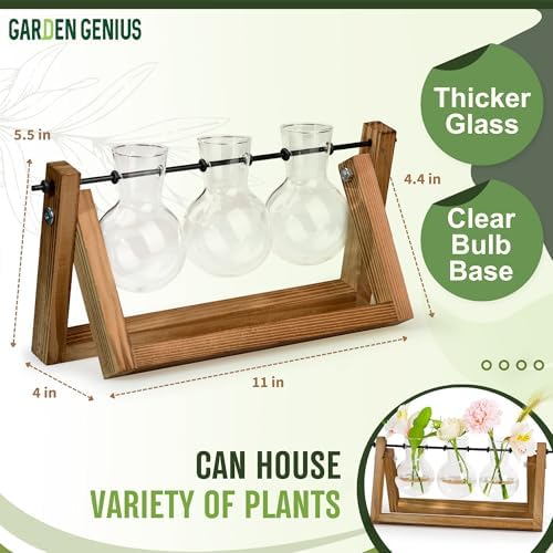 Glass Propagation Station with Wooden Stand – 3 Bulb Vase Plant Terrarium for Home & Office | Ideal Christmas, New Year & Birthday Gift for Plant Lovers, Moms | Hydroponic Desktop Planter Set - Image 2