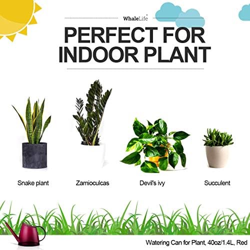 Small Indoor Plant Watering Can Long Spout 1.4L Red - Image 2