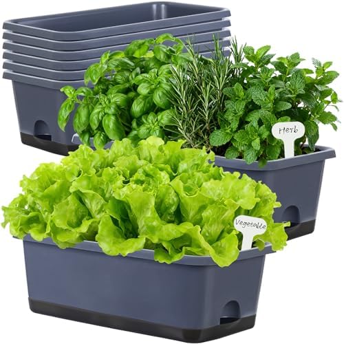 Oliz Window Box Planter 8 Pcs, 17 Inches Rectangle Flower Pots with Drainage Holes and Trays, Vegetable Planters for Windowsill Patio Garden Balcony Home Porch Yard Indoor Outdoor (Grey) by Oliz