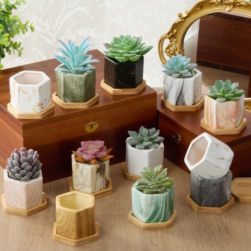 Ziliny Marbling Ceramic Flower Pot Succulent Small Plant Cactus Herbs Planter Ceramic Pot with Drainage Hole Matte Container (12 Pcs,Hexagon Style) by Ziliny