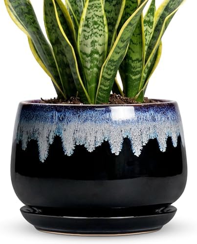Ceramic Plant Pots - 9 Inch Flower Pots for Indoor Plants, Decorative Pots for Plants with Drainage and Saucer, Large Planter, House Office Decor, Gardening Gifts for Women, Black-Blue by Fivepot