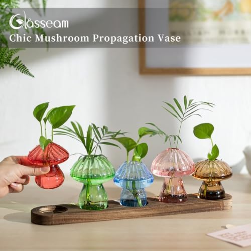 Glasseam Mushroom Glass Plant Propagation Station with Wooden Stand 5Pcs - Image 4