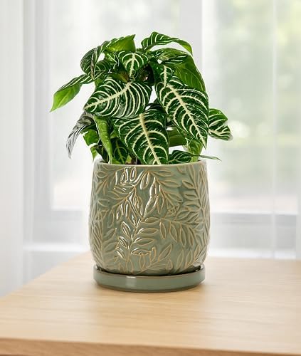 D'vine Dev Embossed Leaves Ceramic Planter, 6 in, Olive, 27-A-X-0 - Image 7