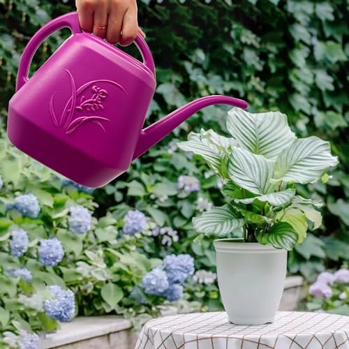 Plant Watering Can - Plastic for Indoor and Outdoor Home Plant - 1/2 Gallon - Rose Red - Image 4
