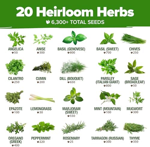 HOME GROWN Premium Herb Seeds Variety Pack - 20 Heirloom Herb Seeds for Planting - 6,000+ Non-GMO Seeds with Plant Markers - Indoor Outdoor Hydroponic Herb Garden - Culinary & Medicinal Herbs - Image 3