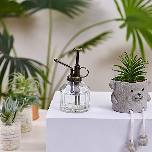 Glass Plant Mister Spray Bottle for Indoor Plants, 200ml/6.7oz, Clear - Image 5