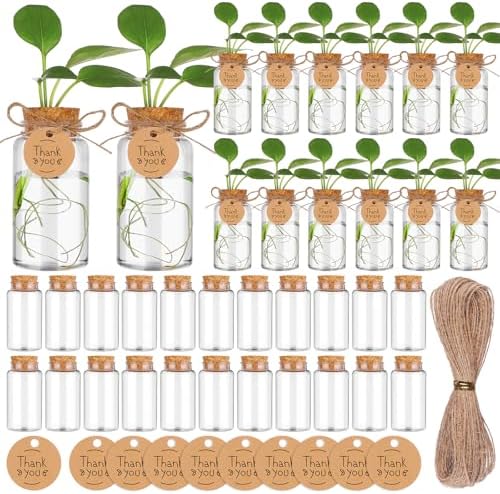 36 Packs Plant Propagation Stations with Hole Lid Clear Plastic Cultivation Bottles Tabletop Hydroponic Containers with Thank You Tags for Home Gardening Office Desktop Decoration by Unknown