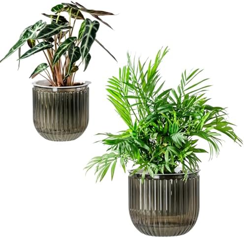 Melphoe Self Watering Pots for Indoor Plants Planter, 6.5/5.3 Inch 2 Pack Planters Self Watering Plant Pots for Flower, Houseplants, Succulent, African Violets and Cactus with Drainage by Melphoe