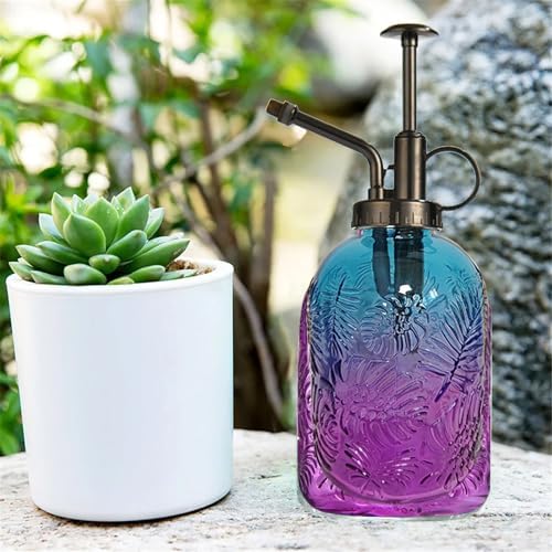 Spray Bottle for Plants, Plant Mister Spray Bottle, Glass Plant Mister Spray Bottle, Embossed Vintage Glass Watering Can, Succulent Watering Bottle with Top Pump for Outdoor (SS) - Image 4