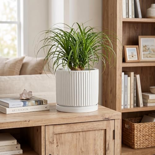 8 Inch Pots for Plants, Ceramic Plant Pots with Saucer, White - Image 3