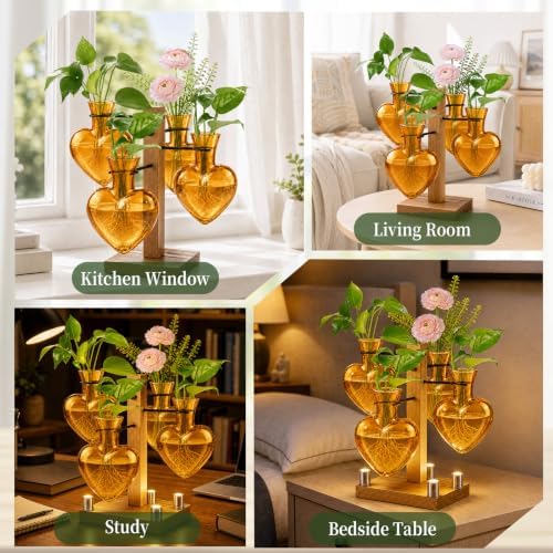 Plant Terrarium Propagation Station with 4 Heart Glass Vases - Amber - Image 6