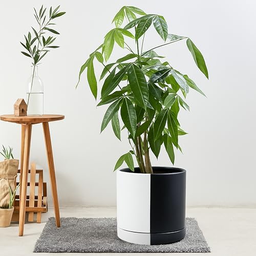 D'vine Dev 10 Inch Ceramic Planter Pot, Black White Split, 94-O-E-0 - Image 5