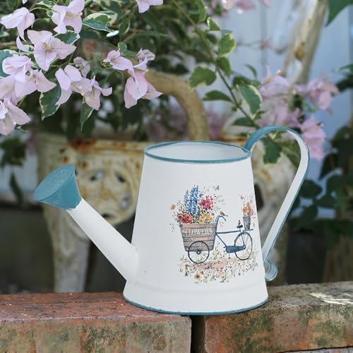 Small Metal Watering Can for Indoor & Outdoor Plants Garden Decor - Image 3