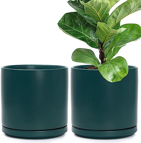 D'vine Dev 2-Pack Ceramic Pots with Saucers, Teal, 10 in, 94-V-E-9 by DvineDevPlanterPotsandStand