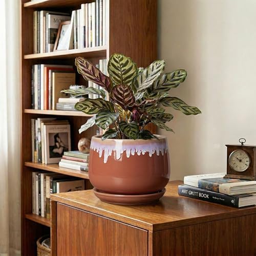 Ceramic Pots for Plants 7 Inch - Ceramic Planters for Indoor Plants, Indoor Plant Pots with Drainage and Saucer, Decorative Round Flower Pot, Garden House Room Decor, Plant Gifts, Red-Purple - Image 5